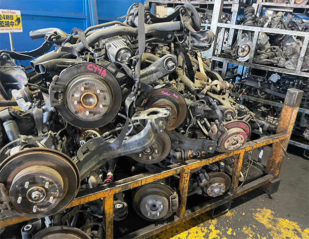 Under Parts